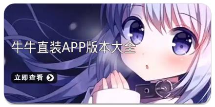 牛牛直装app版本大全