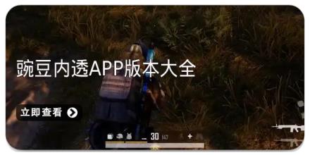 豌豆内透app版本大全