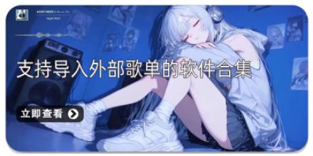 支持导入外部歌单的软件合集