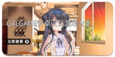 galgame安卓汉化游戏大全