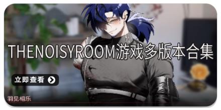 TheNoisyRoom游戏多版本合集