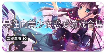 男性向美少女恋爱游戏合集
