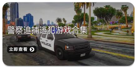 警察追捕逃犯游戏合集