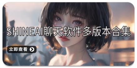 ShineAI聊天软件多版本合集