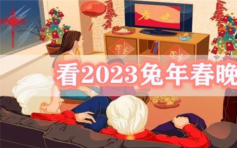 看2023春晚直播回放软件推荐