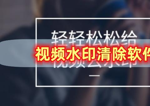 清理视频中的固定水印软件