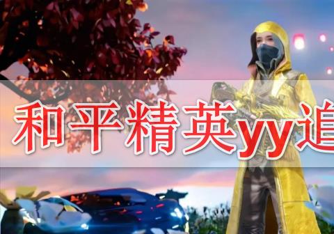 和平精英yy追踪下载最新免卡密