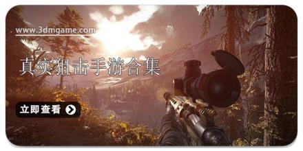 真实狙击手游合集