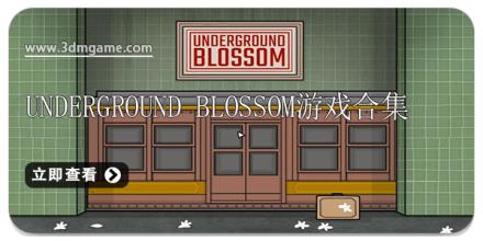 Underground Blossom游戏合集
