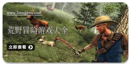 荒野冒险游戏大全