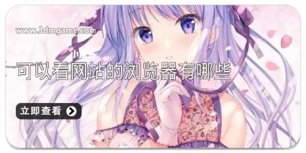 可以看网站的浏览器有哪些