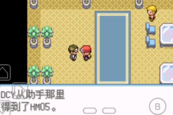 口袋妖怪火红闪光术在哪
