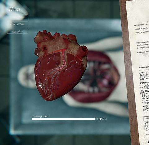 autopsy simulator