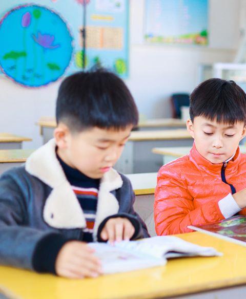 2026小学生网课app推荐下载