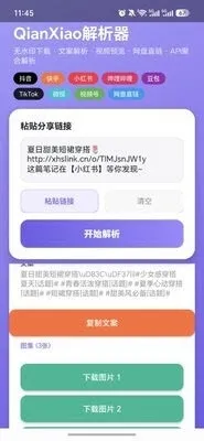 QianXiao解析器免费下载安装