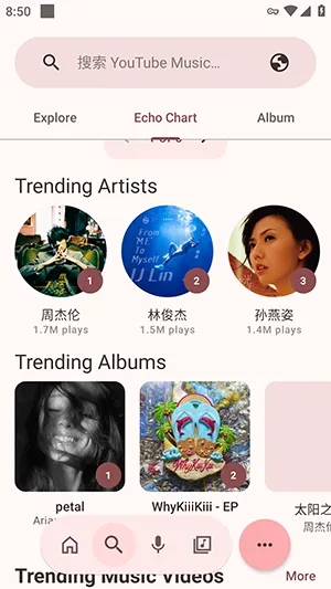 NullMusic下载安装