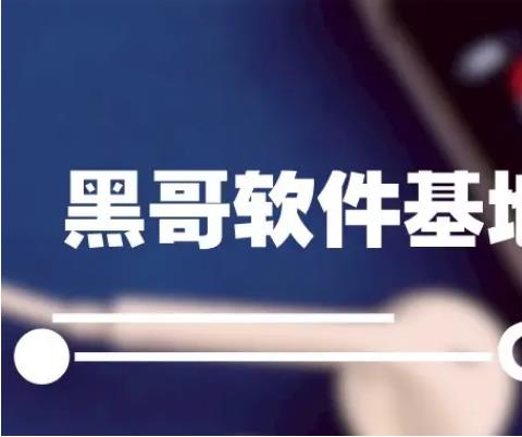 2026黑哥软件学习库