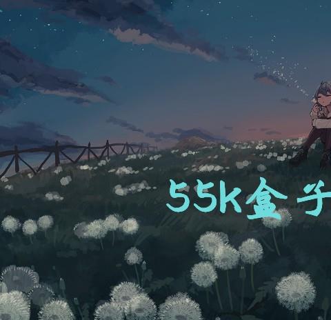 55k盒子