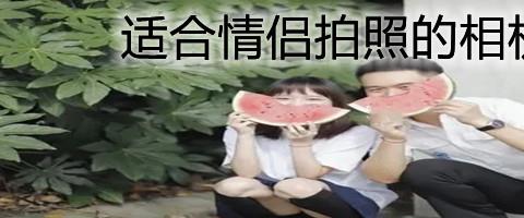2026免费观看小说的软件推荐