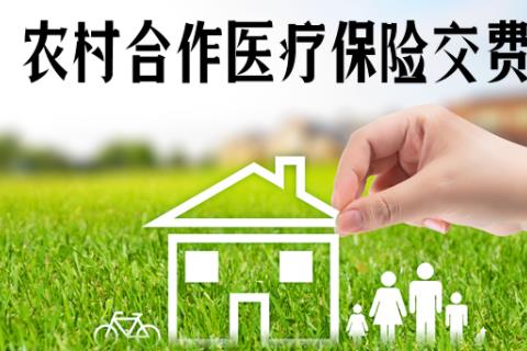 2026农村合作医疗缴费软件