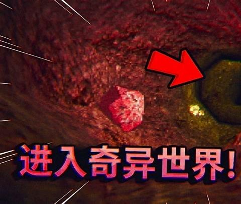 薄海纸鱼解说游戏