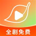红叶短剧