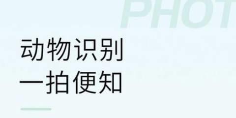 扫图片识物软件推荐大全