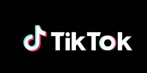 tiktok版本大全