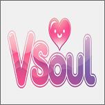 vsoul ai