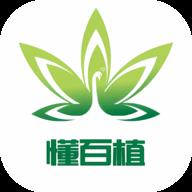 懂百植影视