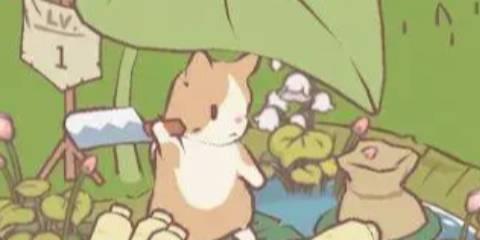 猫咪和汤历史版本