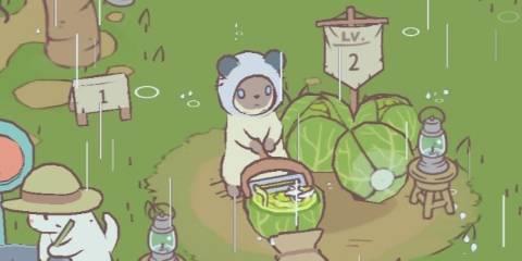 猫咪和汤游戏最新版本